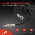 O2 Oxygen Sensor for Toyota Highlander 2020-2022 3.5L