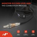 Downstream Front O2 Oxygen Sensor for Honda Odyssey Passport Ridgeline V6 3.5L