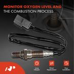 2 Pcs Upstream & Downstream O2 Oxygen Sensor for Acura MDX 01-02 Honda Pilot 3.5L