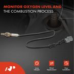 O2 Oxygen Sensor for Acura MDX NSX TL Honda Accord Pilot Saturn Vue