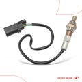 Upstream O2 Oxygen Sensor for 2019 Alfa Romeo Stelvio