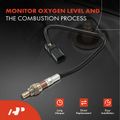 Upstream O2 Oxygen Sensor for 2019 Alfa Romeo Stelvio