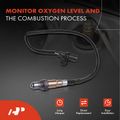 O2 Oxygen Sensor for 2014 Ram 1500 3.0L V6