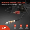 O2 Oxygen Sensor for 2015 Volkswagen Beetle 2.0L l4