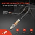 O2 Oxygen Sensor for 2017 Porsche Macan