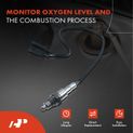 Downstream O2 Oxygen Sensor for Audi A4 2019-2020 A4 allroad A5 Quattro Q5 2.0L