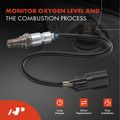 Upstream O2 Oxygen Sensor for 2018 Fiat 500X 2.4L l4