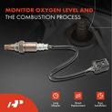 Upstream O2 Oxygen Sensor for Acura ILX 2.0L 2013-2015 Honda CR-V 2.4L