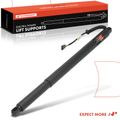 Rear Driver or Passenger Power Hatch Lift Support for 2015 BMW 550i GT xDrive