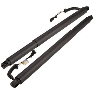 2 Pcs Rear Power Hatch Lift Support for BMW F07 535i GT 550i GT xDrive Base 10-17