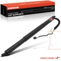 Rear Driver Power Hatch Lift Support for 2023 Kia EV6