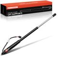 Rear Driver Power Hatch Lift Support for 2021 Land Rover Discovery