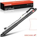 Rear Driver Tailgate Power Hatch Lift Support for 2014 BMW 328i xDrive