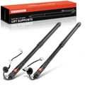 2 Pcs Rear Tailgate Power Lift Supports Struts for 2019 Nissan Rogue