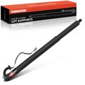 Rear Driver Power Hatch Lift Support for 2022 Lincoln Nautilus