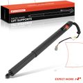 Rear Driver Power Hatch Lift Support for 2022 Jeep Cherokee