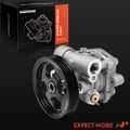 Power Steering Pump with Pulley for 2003 Mitsubishi Montero Sport