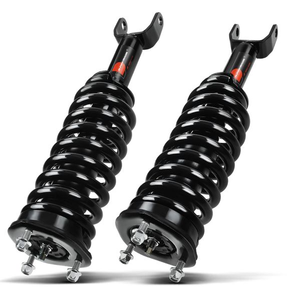 2 Pcs Front Complete Strut & Coil Spring Assembly for Dodge Dakota Mitsubishi 4WD
