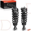 2 Pcs Front Complete Strut & Coil Spring Assembly for 2009 Dodge Ram 1500