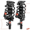 2 Pcs Front Complete Strut & Coil Spring Assembly for 2015-2019 Lincoln MKC