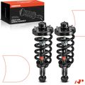 2 Pcs Rear Complete Strut & Coil Spring Assembly for 2007 Lincoln Navigator