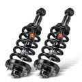 2 Pcs Rear Complete Strut & Coil Spring Assembly for 2007 Lincoln Navigator