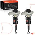 2 Pcs Front Complete Strut & Coil Spring Assembly for Audi A6 06-11 A6 Quattro
