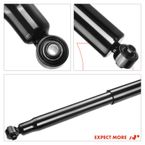 2 Pcs Rear Shock Absorber Strut for Dodge Dakota 1997-2004 Durango 1998-2003 4WD
