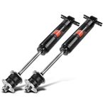2 Pcs Front Shock Absorber for Dodge Ram 1500 2002 2003 2004-2008 RWD