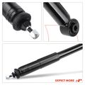 2 Pcs Rear Shock Absorber for Honda Civic 2006 2007-2011 L4 1.8L 2.0L