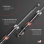 2 Pcs Rear Shock Absorber Strut for Acura RL 2005-2012 3.5L 3.7L