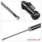 2 Pcs Rear Shock Absorber Strut for Acura RL 2005-2012 3.5L 3.7L