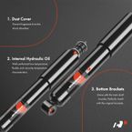 2 Pcs Front Shock Absorber for Acura SLX Isuzu Trooper 1992-2002