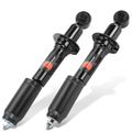2 Pcs Front Shock Absorber for 2008 Ford Crown Victoria