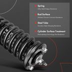 2 Pcs Front Complete Strut & Coil Spring Assembly for Acura CSX Honda Civic 06-11