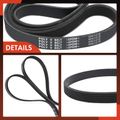 63.78 Inch Serpentine Belt for Chevrolet GMC Freightliner International Isuzu