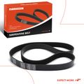 56.45 Inch Serpentine Belt for Freightliner Century Class Sterling Truck L9500 A9500