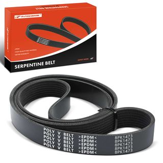 58.09 Inch Serpentine Belt for Blue Bird TC2000 Freightliner Argosy Sterling Truck