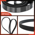 74.1 Inch Serpentine Belt for Freightliner Columbia 2001 International Harvester