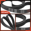 74.52 Inch Serpentine Belt for Freightliner MT45 2011 International 2554 2654 4700LP