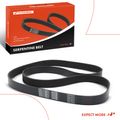 72.07 Inch Serpentine Belt for Ford F-800 93-97 Peterbilt 375 Western Star 3800