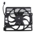 Radiator Cooling Fan Assembly with Motor 250W for 1998 BMW 740i