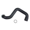 Lower Radiator Coolant Hose for 2006 Mercedes-Benz E500 5.0L V8