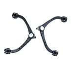 2 Pcs Front Upper Control Arm with Ball Joint for Dodge Dakota 2005-2010 Mitsubishi
