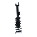 Front Passenger Complete Strut & Coil Spring Assembly for 2019 Tesla 3