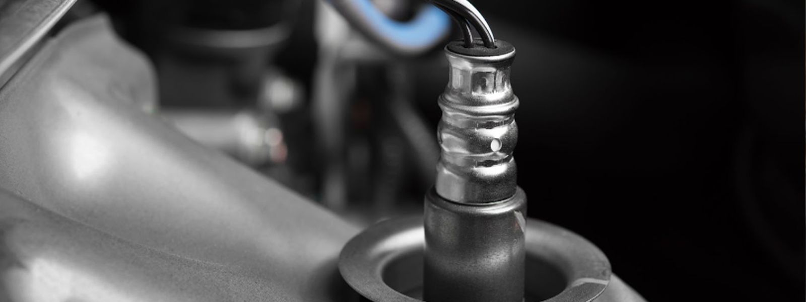 Evaluate the Oxygen Sensor