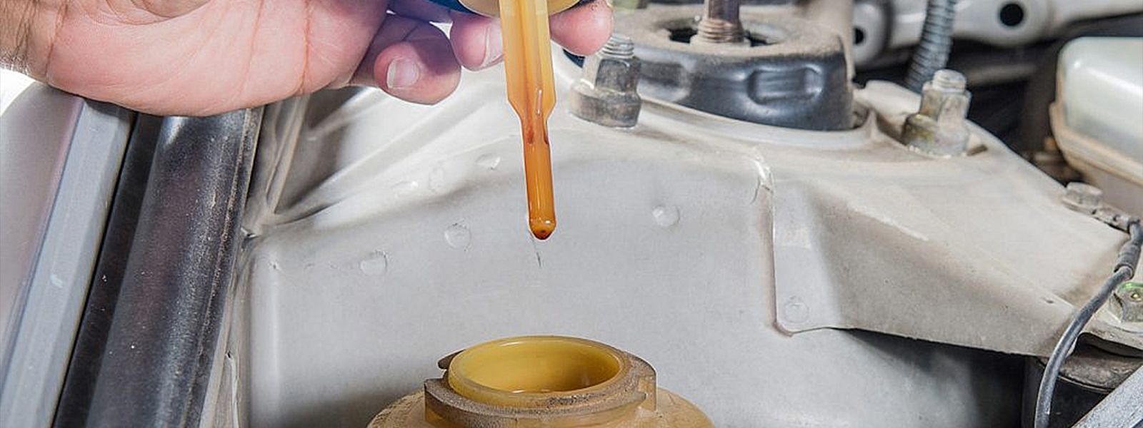 check power steering fluid