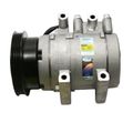 A/C Compressor - Delphi CS20131