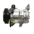 A/C Compressor - Delphi CS20144