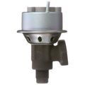 EGR Valve - Delphi EG10500